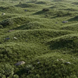 a random landscape using octane render