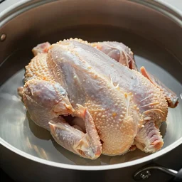 raw uncooked chicken sitting in a pot of water