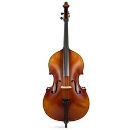 double bass, 8k product photo, isolated on a pure white background, centered, entire object in frame, sharp focus, soft studio lighting