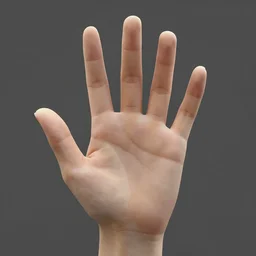 an anatomically perfect hand with 5 fingers