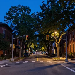 boulevard, median with trees, uptown neighborhood, liminal space, traffic lights, blue hour