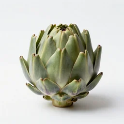 holographic artichoke, commercial catalog photo, isolated on a pure white background, centered, entire object in frame, sharp focus, soft studio lighting
