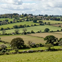An english country landscape