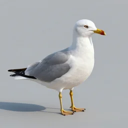 human seagull hybrid, realistic, vray, render, full body, photo