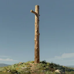 wood pole on hill, highly detailed, digital painting, artstation, concept art, sharp focus, illustration, rutkowski, raphael lacoste, magali villeneuve