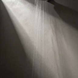 hair stuck to the shower wall