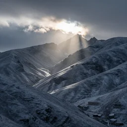 in the cold winds of nowhere,