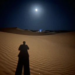 photograph of the desert at night, lit by moonlight with ominous figures in the distance, dunes in foreground with elongated shadows, night photography, dslr, 4 k