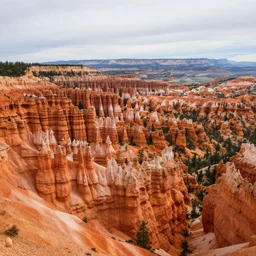 a panorama photograph of bryce canyon