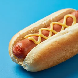 close up studio photograph of a hotdog on blue background, f/1.4, high quality photograph, trending