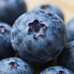 an extinct blue fruit