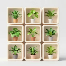 composition of nine square boxes with different plants forms, diorama, front view, light mode, led lamps, coral reef, tremella fuciformis, grass, leaves, romanesco broccoli, abstract sculpture