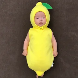 a lemon costume, craigslist photo