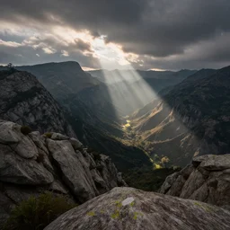 big picture natural world photography