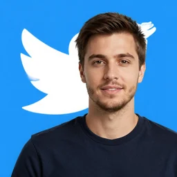 standard Twitter user