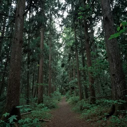 A fantastic forest, by simon stalenhag