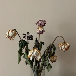 Flowers decay as romanticism disappears.