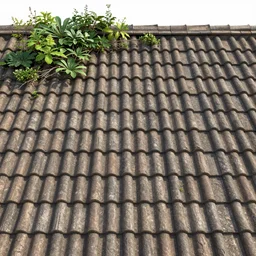 roofing tiles texture, medieval, overgrown with plants, photo 3d, substance designer, tiled, plain view