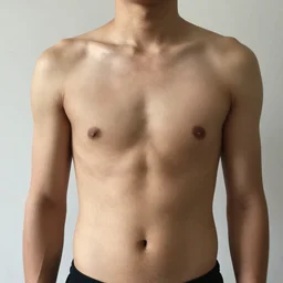 a perfectly photorealism human but with no arms