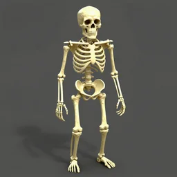A gameplay screenshot of a skeleton (PS2, 2004)