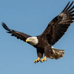 alec baldwin flying on giant eagle, sitting, blue sky, photo