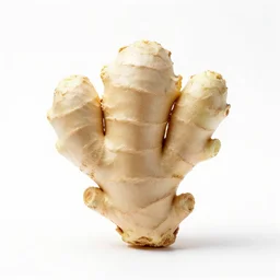 carved wooden ginger root, 8k product photo, isolated on a pure white background, centered, entire object in frame, sharp focus, soft studio lighting