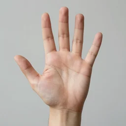 study of a sign language, right little palm with 5!! five!!! fingers, detailed, precise, accurate, matte painting, award - winning, smooth, realistic, hyperrealism,