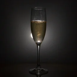 complete darkness. backlit champagne glass. one small light source. chiaroscuro. raw. f 1 1. 6 0 seconds