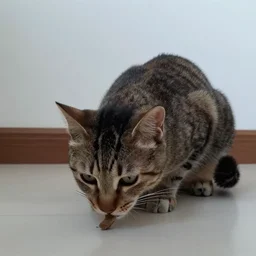 Trailcam footage of a cat crouching down towards the camera and eating a mushroom, shot from the ground, wide lens, hyper detailed