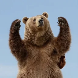 dream about dream in dream of dreaming bear