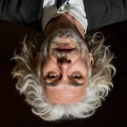 upside down einstein portrait