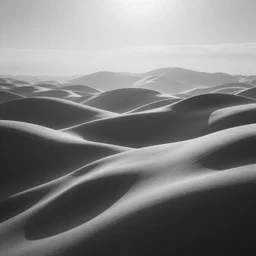 black and white, haze, covered in sheets,