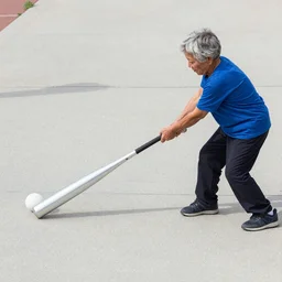 jerma hitting a grandma with an aluminum baseball bat on the sidewalk