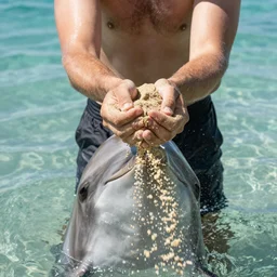 A male human | Dolphins instead of hands | Takes sand out of his pockets and throwing it at the camera