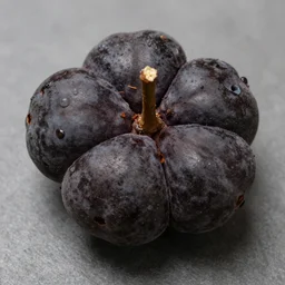 an extinct fruit