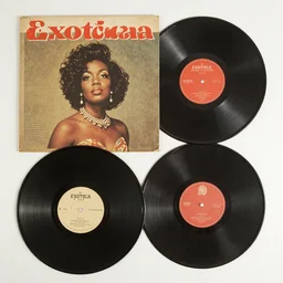 Artwork for a 60s exotica record