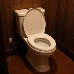hairy toilet
