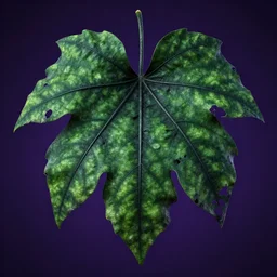 a highly detailed over dimensional green leaves that are not from this world decaying with black vaines, dark fantasy, photorealism, unreal engine, purple hue