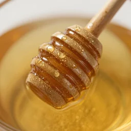 macro photo of honey