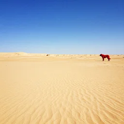 sunny empty karst desert wide shot, blue skies, crimson hound beastin the distance, vivid fantasy concept art by greg rutkowski
