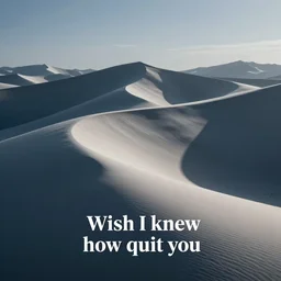 I wish I knew how to quit you
