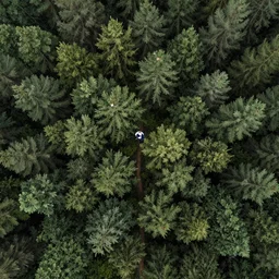 From epic drone shots to inspiring moments in nature