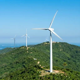 wind farm in paradise