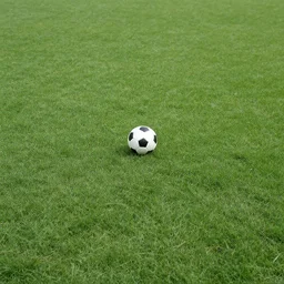 Photograph of a ball in the grass far from the camera. Rendering distance 100