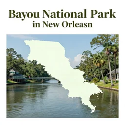 a tourism poster of bayou national park in new orleans, by bob thompson, featured on dribble, regionalism, digital illustration, wallpaper, poster art