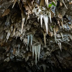 cenote yucatan