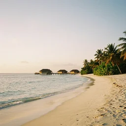 35mm film still, morning light over an island in the maldives, color palette of gold