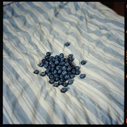 kodak portra 4 0 0, wetplate, muted colours, 1 9 3 0 s award winning colour portrait of a wild crumpled blue and white striped bedspread. by saul leiter, insanely detailed, insanely intricate, depth of field, blueberry, aerial view