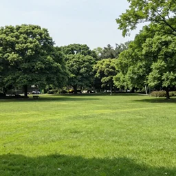 a lovely day in the park