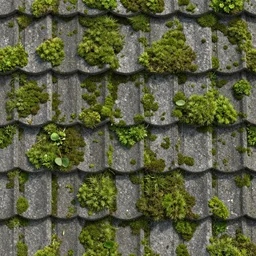 seamless texture of japanese roof shingles with moss, very realistic, very detailed, beautiful, intricate details, sharp focus, miniature roof, substance designer, digital painting, substance render, substance painter, marmoset, goro fujita, studio ghibli, hayao miyazaki, low poly art, unreal engine, octane render